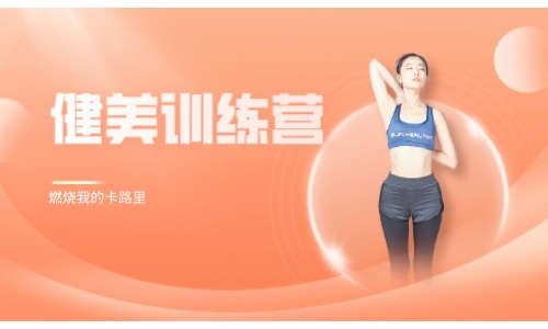 健身运动健美训练营全套视频