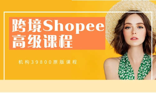 Shopee虾皮电商教程跨境Shopee高级课程