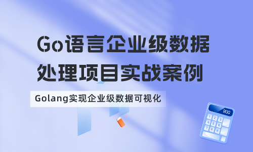 GoGo语言企业级数据处理项目实战案例 Golang实现企业级数据可视化