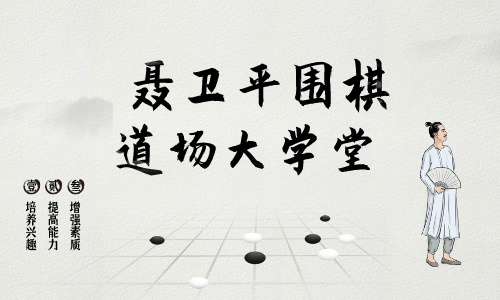 围棋教程 聂卫平围棋道场大学堂