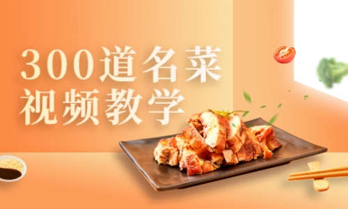 生活休闲艺术300道名菜视频教学