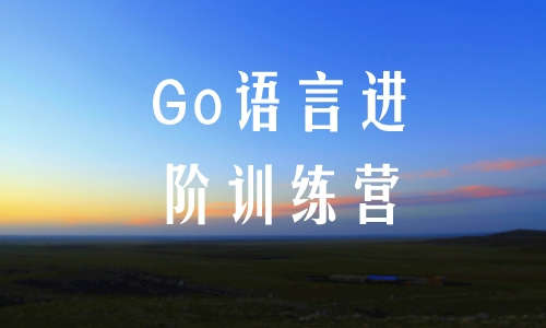 GoGo语言进阶训练营