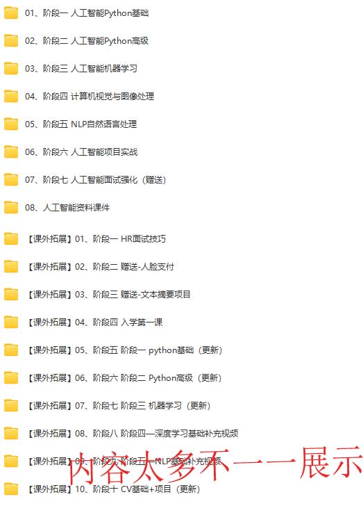 人工智能AI进阶年度钻石会员.jpg