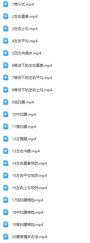 散打基础教程1.jpg