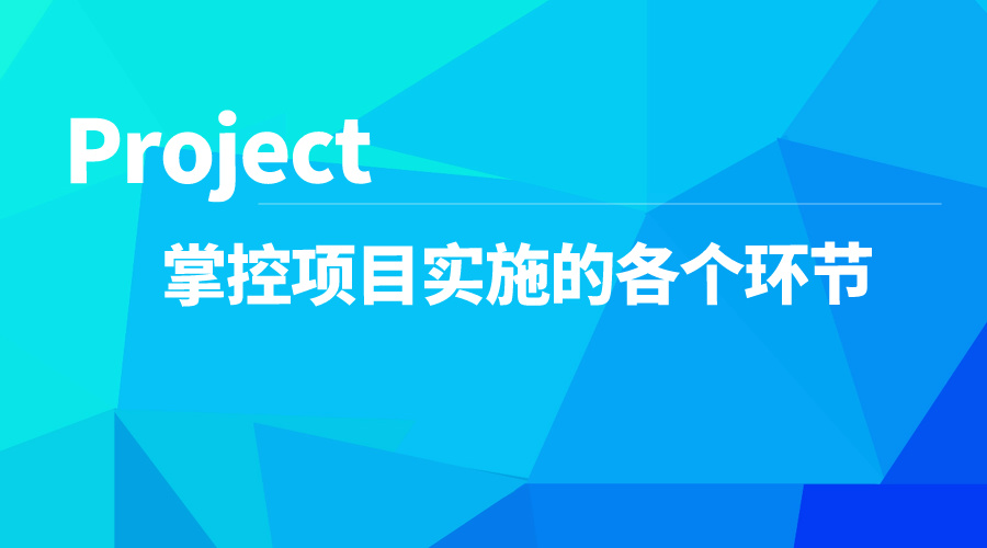 Project教程Project 掌控项目实施的各个环节